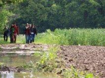 De Bosbeekpoort Villa Opglabbeek Oda fotoğraf